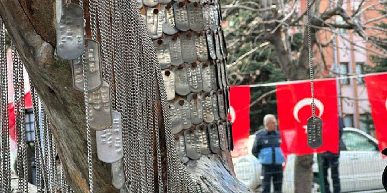 12 şehidimizin künyeleri Kızılcahamam'da Şehit Ağacı'na çakıldı
