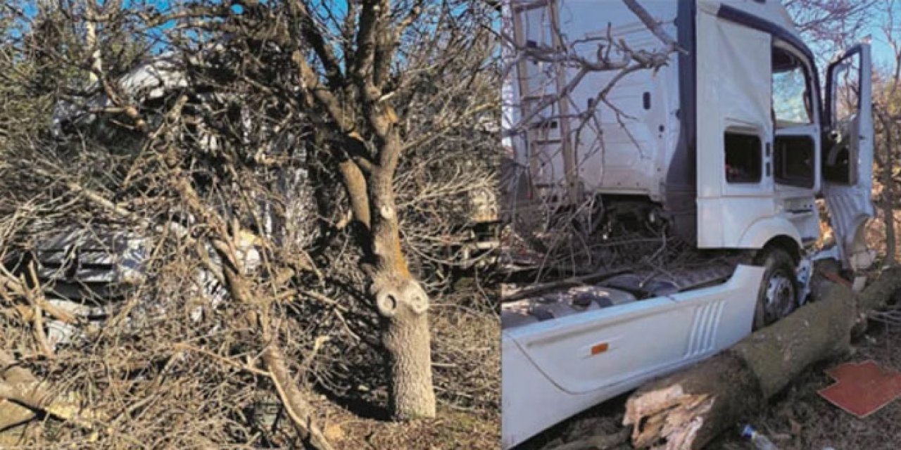 Konya'da facia anları: Ağaca uçtu