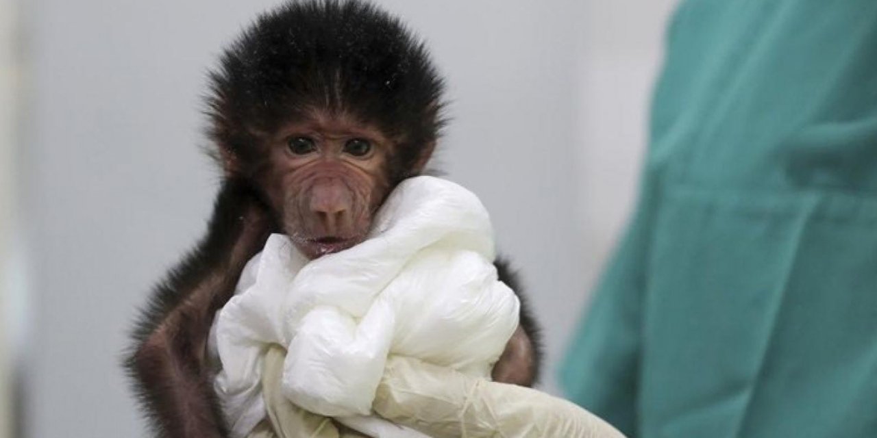 Annesi reddetti veterinerler sahip çıktı