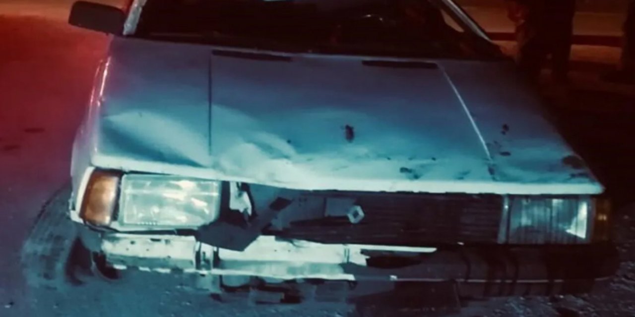 Başıboş sokak köpeği kazaya neden oldu