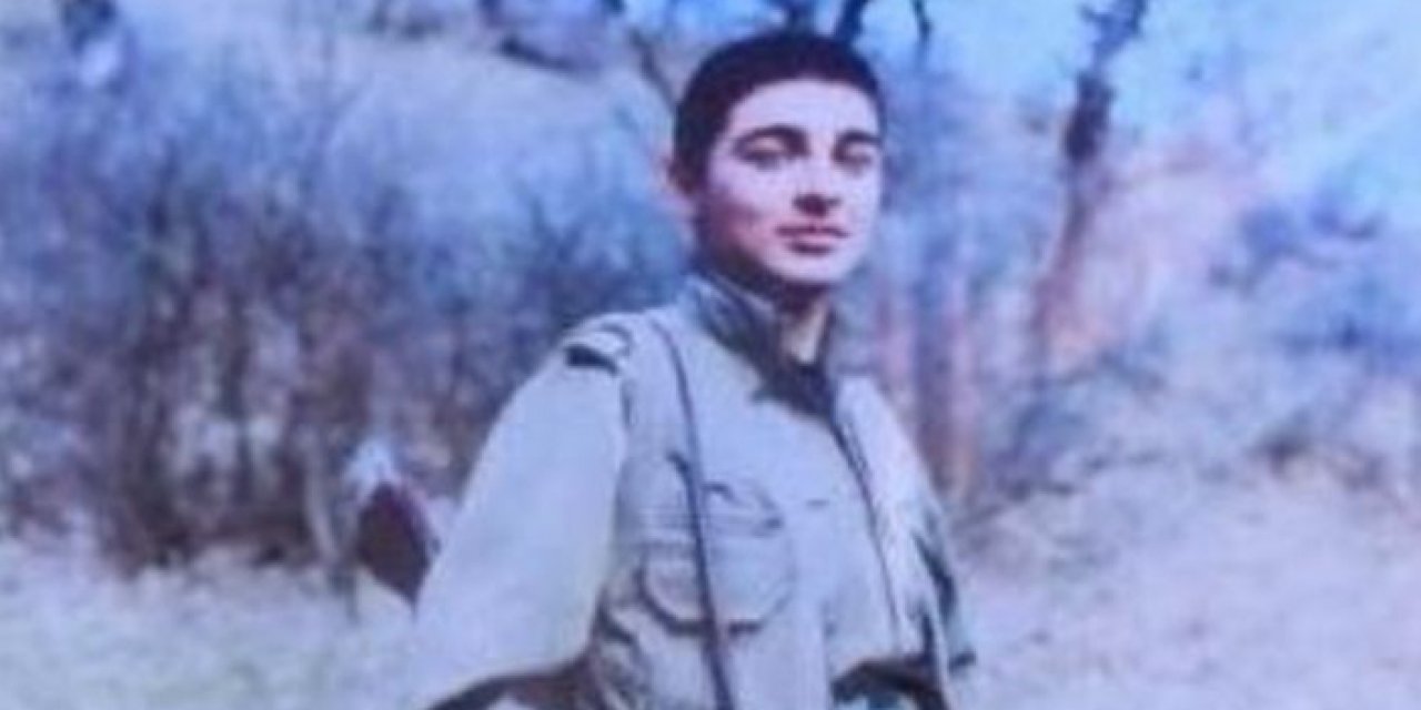 MİT'ten bir çizik daha