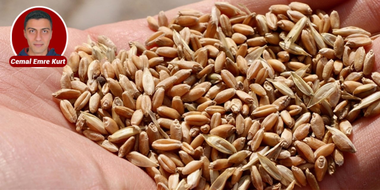 Buğday Derneği açıkladı: Gıda krizinin nedenleri anlatıldı