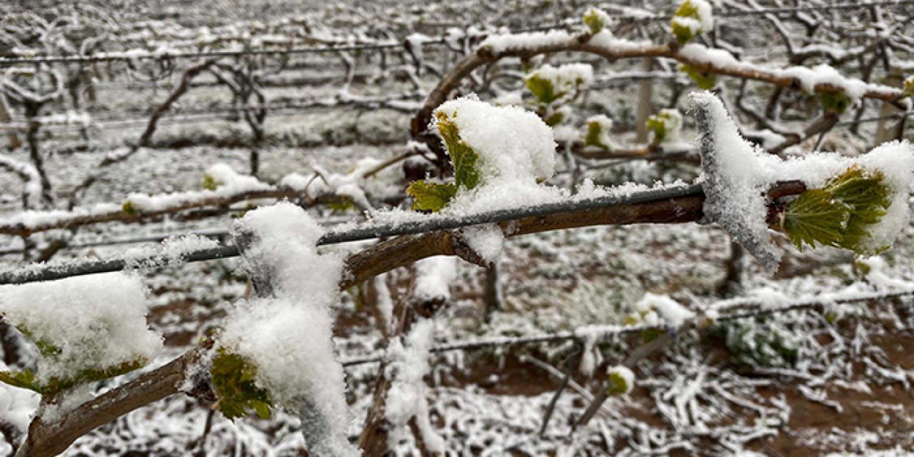 İzmir'e korkutan uyarı: Bu geceden itibaren başlıyor!