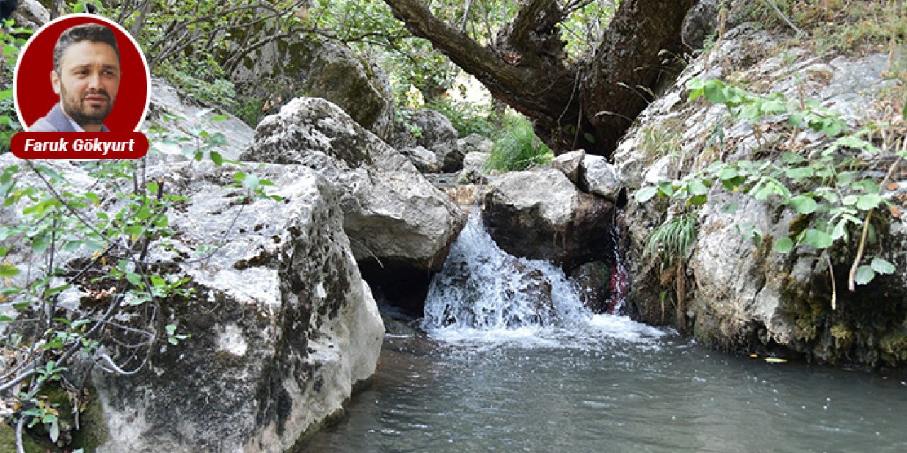 Ankara'nın saklı bahçesi: Kıbrıs Kanyonu’nda çalışmalar devam ediyor