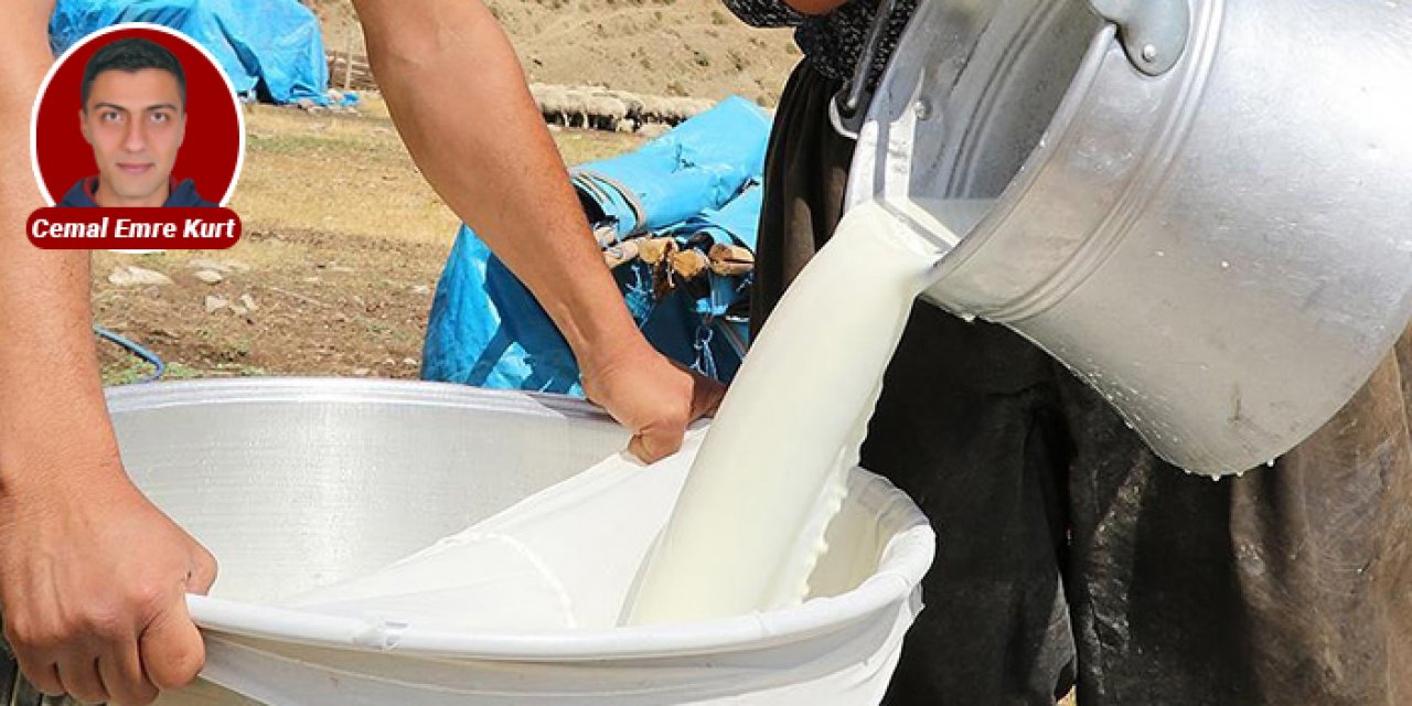 Ulusal Süt Konseyi duyurdu: Süt ve süt ürünlerine zam kapıda!