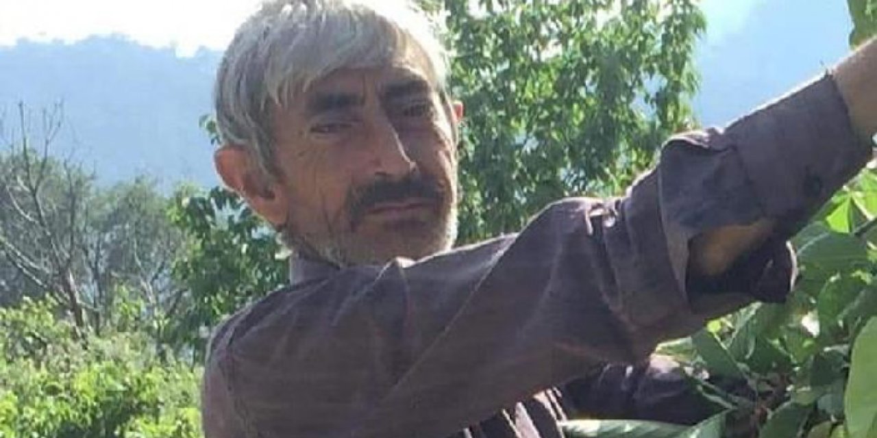 Acı ölüm: Kestiği ağacın altında kaldı