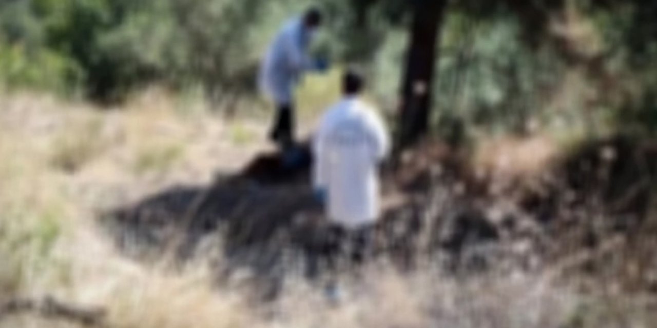 Manisa'da dehşet dolu anlar: Cansız bedeni ormanda ağaca asılı halde bulundu!