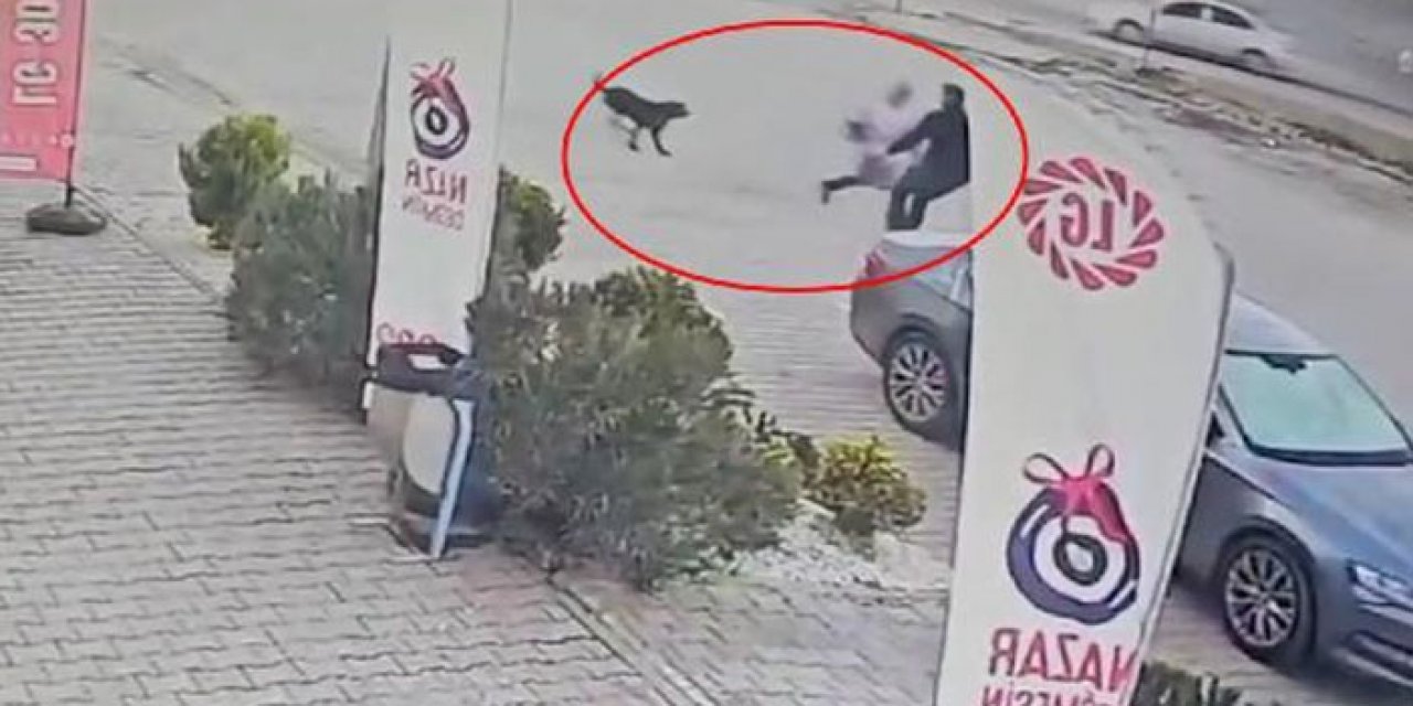 Köpeklerin saldırdığı kız çocuğu son anda kurtarıldı
