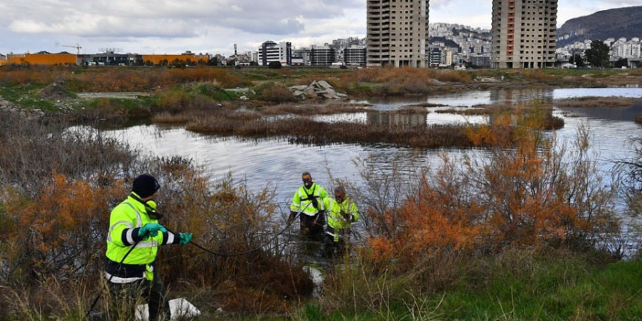 İzmir'de binlerce noktada sivrisinek mücadelesi sürüyor