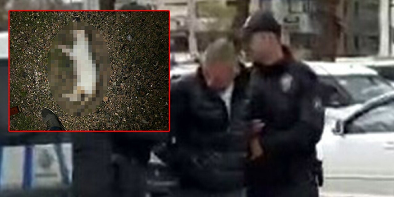 İzmir'de kedileri katletmişti: O cani tutuklandı!