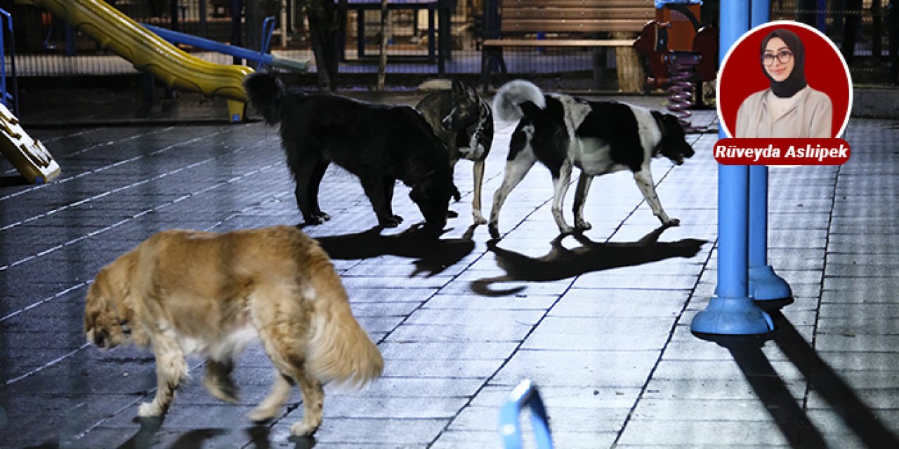Kurtuluş Parkı’nda köpekler kol geziyor: Parklar çocuklarındır