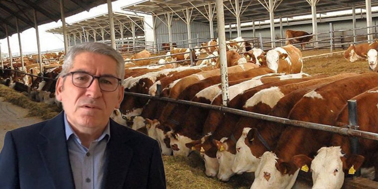 Sığır ithalatına besiciden tepki: Çiftlikler boş kaldı