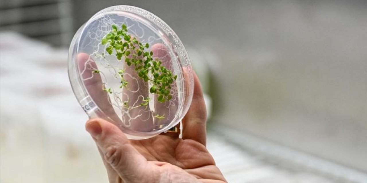 TUA’dan deney sözlüğüne eklemeler yapıldı