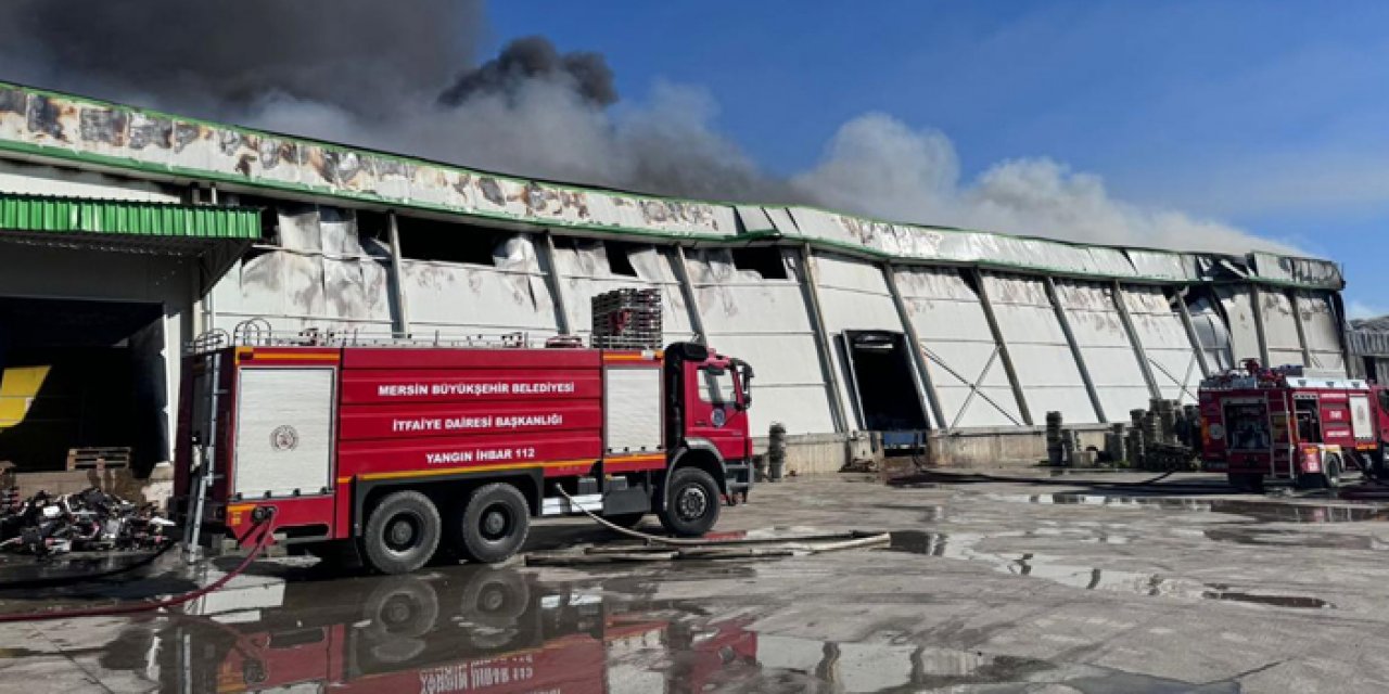 Mersin'de narenciye fabrikasında yangın çıktı