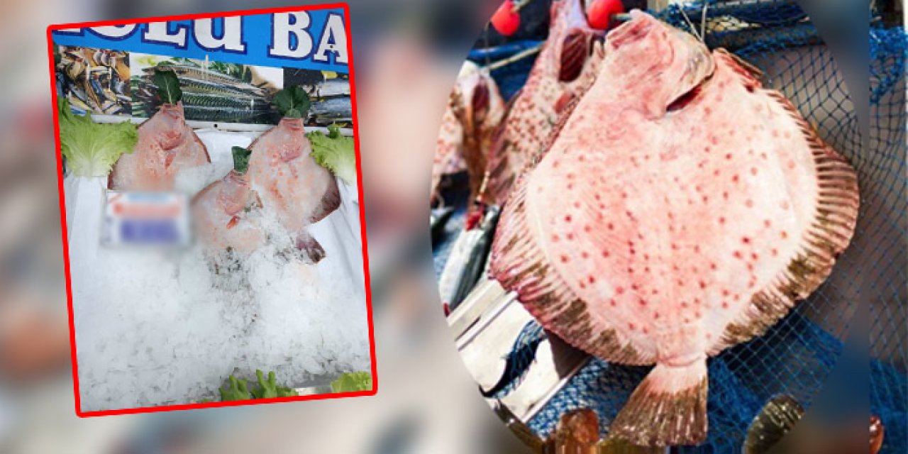 Kalkan balığının fiyatı dudak uçuklattı: Alabilecek var mı?