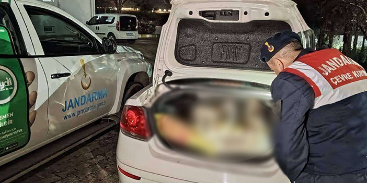 Edirne'de ilginç olay! Otomobilin bagajını açan Jandarma şaşırıp kaldı