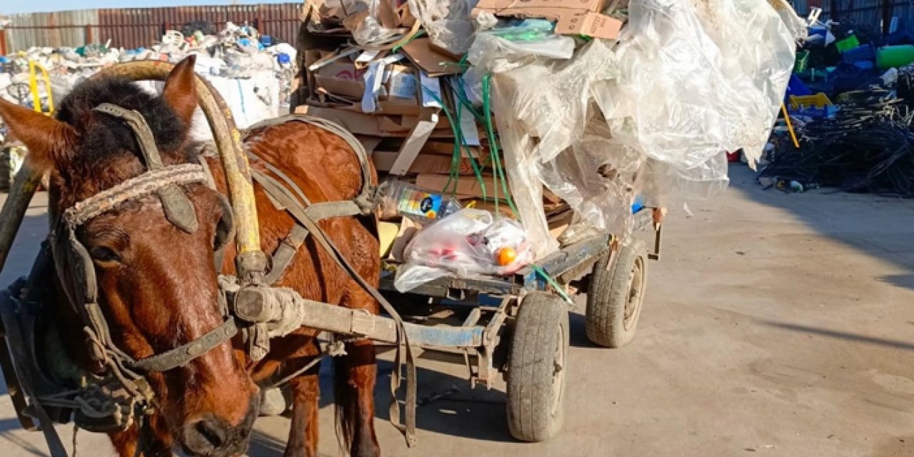 Manisa'da akılalmaz olay: At arabalı hırsızlara operasyon!