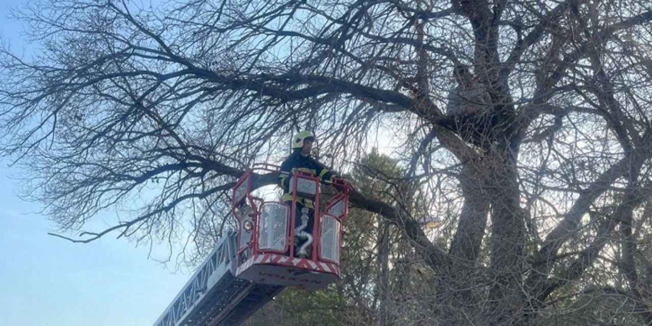 Manisa'da garip olay: İtfaiyenin kurtarması 30 dakika sürdü!