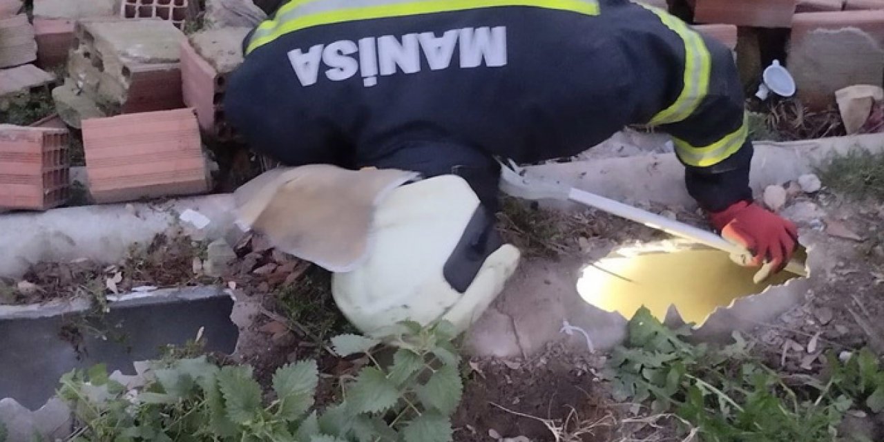 Manisa'da şok olay! Beton direğin içinden çıktı