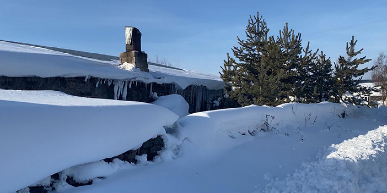Son 55 yılın en yoğun kar yağışı! O ilde evler kara gömüldü