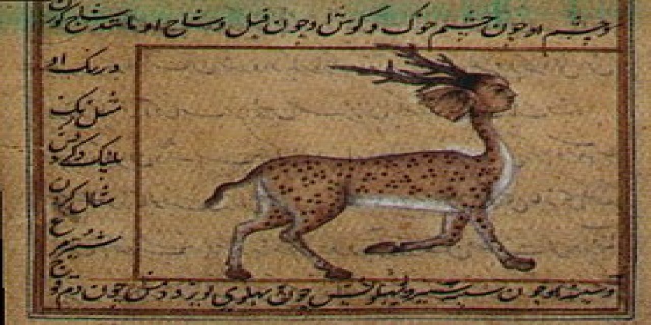 Dabbetül Arz ne demek? Dabbetül Arz ne anlama gelir?