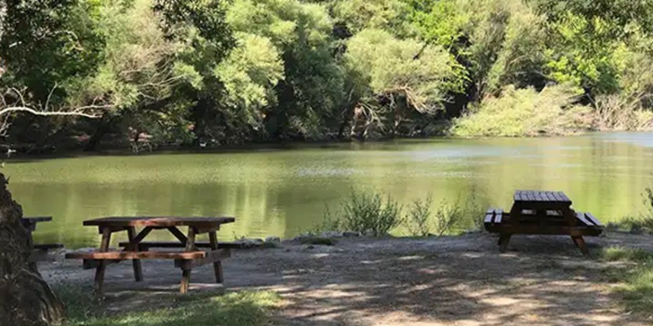 Bahara günler kalınca araştırılmaya başlandı: İşte İzmir'deki piknik alanları!