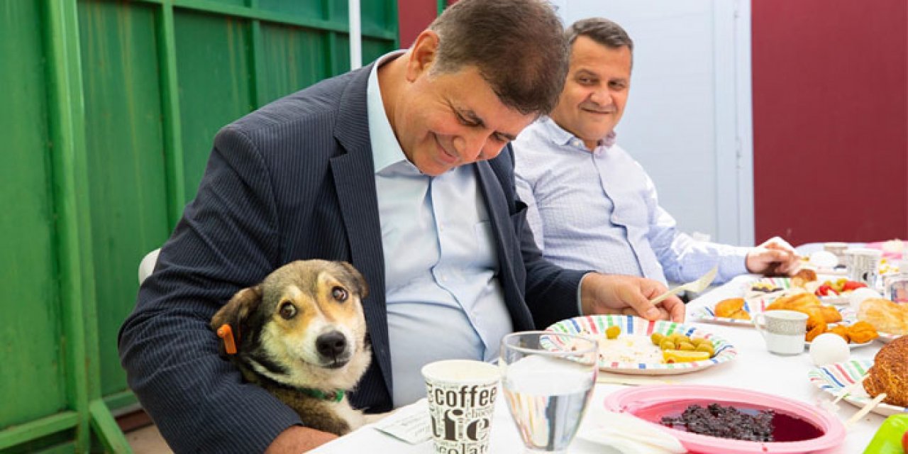 İzmir için yeni vaat: Sokak hayvanları kent yaşamında var olacak