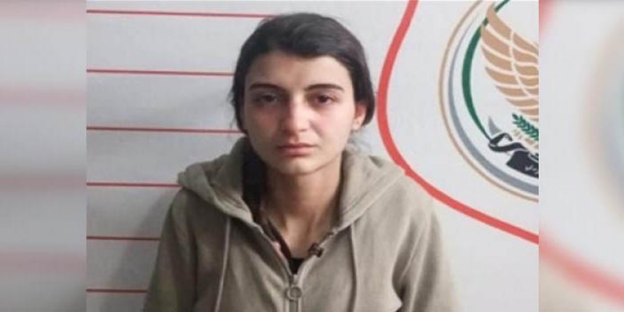 Türkiye'ye sızmaya çalışan PKK'lı terörist yakalandı