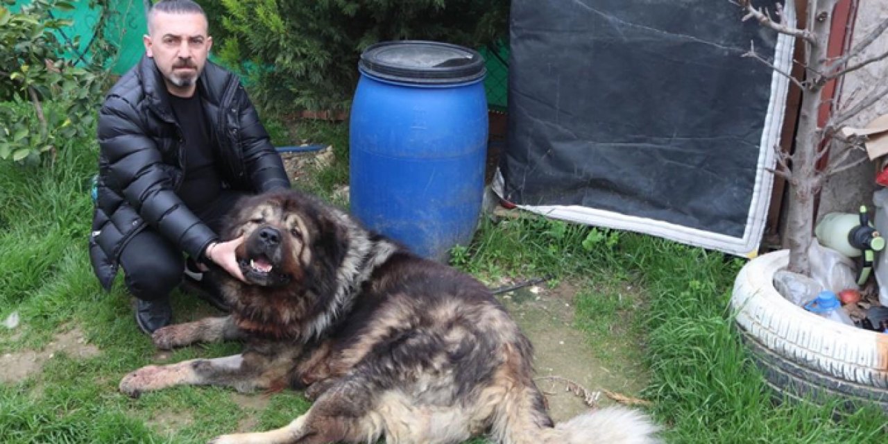 Vicdansızlığın böylesi: Çalamayınca tüfekle vurdu!