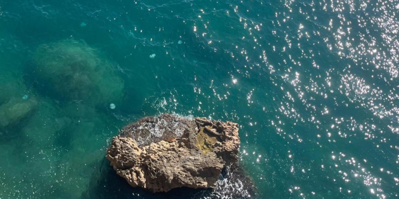 Antalya’da denizanası alarmı