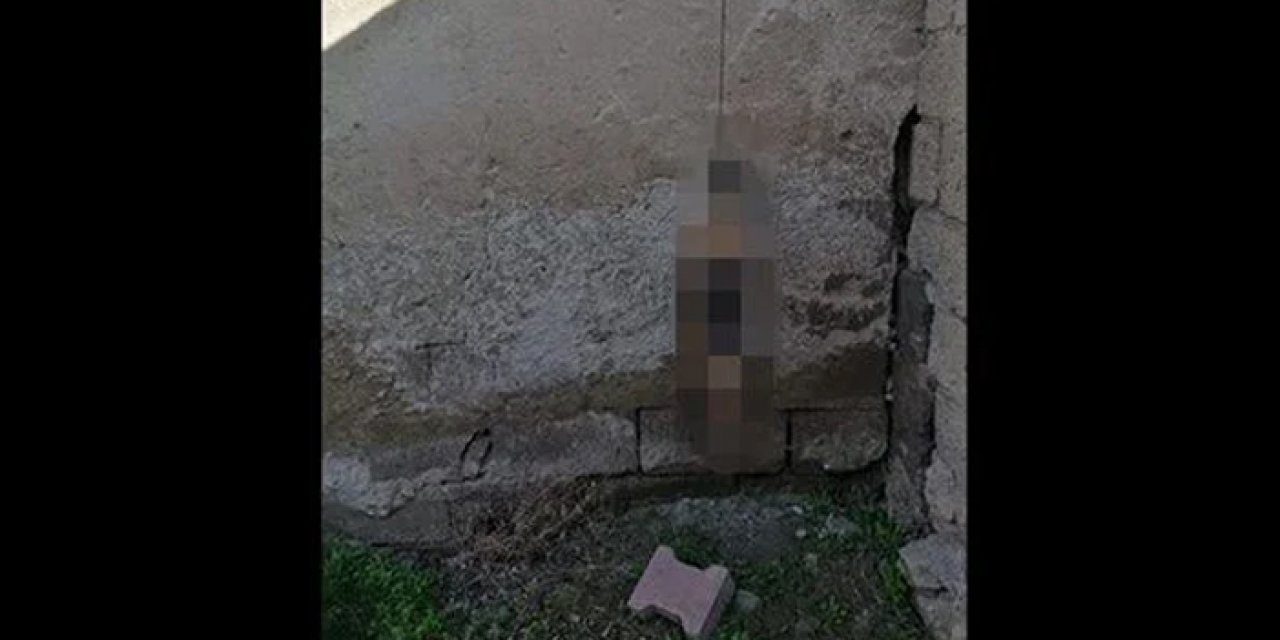 Ankara'da gören şoka uğradı: Kedi asılı bulundu!