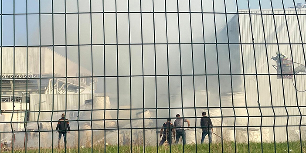 Manisa'da korkutan yangın: Müdahale sürüyor