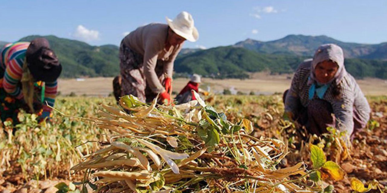 Emek var kazanç yok!