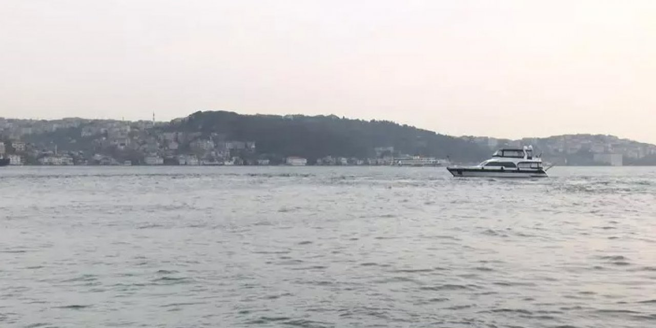 Marmara'ya kritik uyarı: Canlı yaşamı tükenebilir