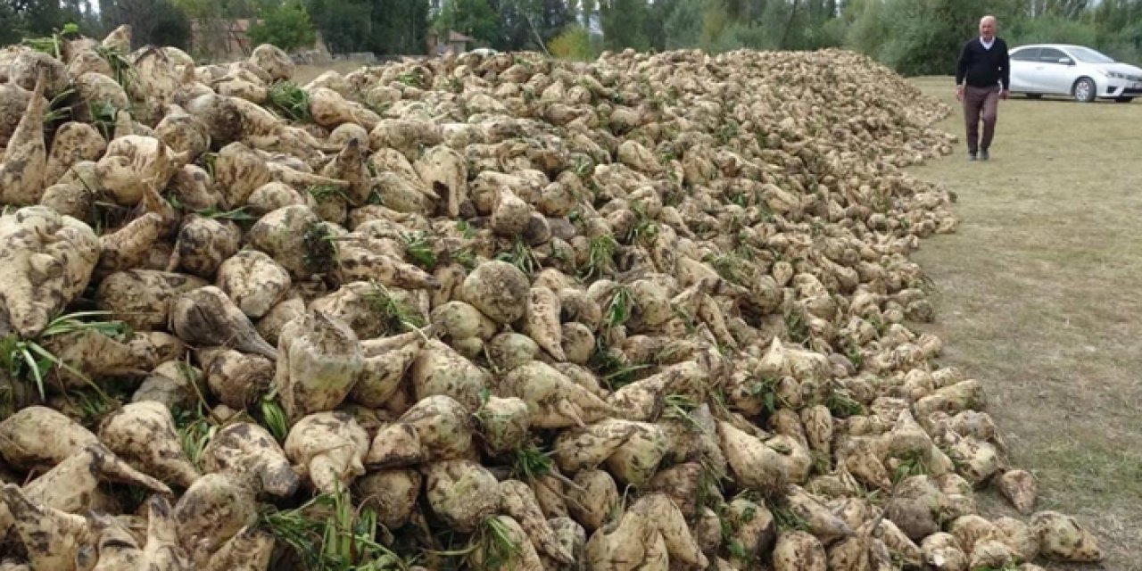 Pancarda çiftçiye kötü haber: Çeyrek altın hesabı çiftçiyi batırdı!