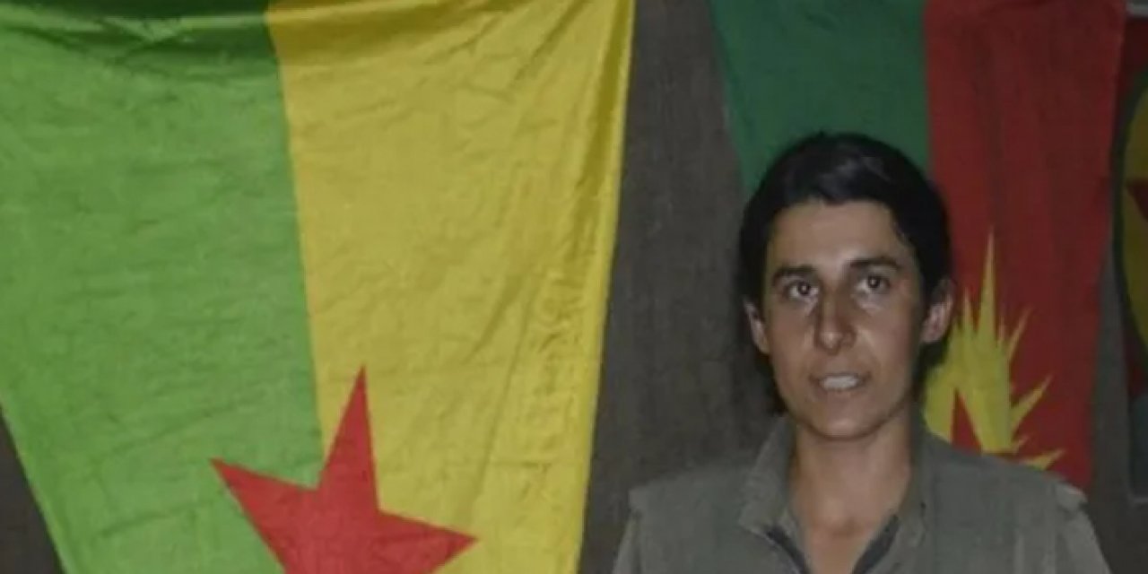 Gülsün Silgir kimdir? Terörist Gülsün Silgir nereli?