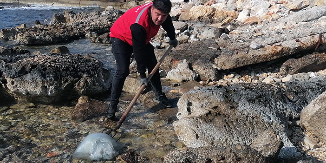 Mersin sahillerinde kriz: Ölüsüne bile dokunmayın!