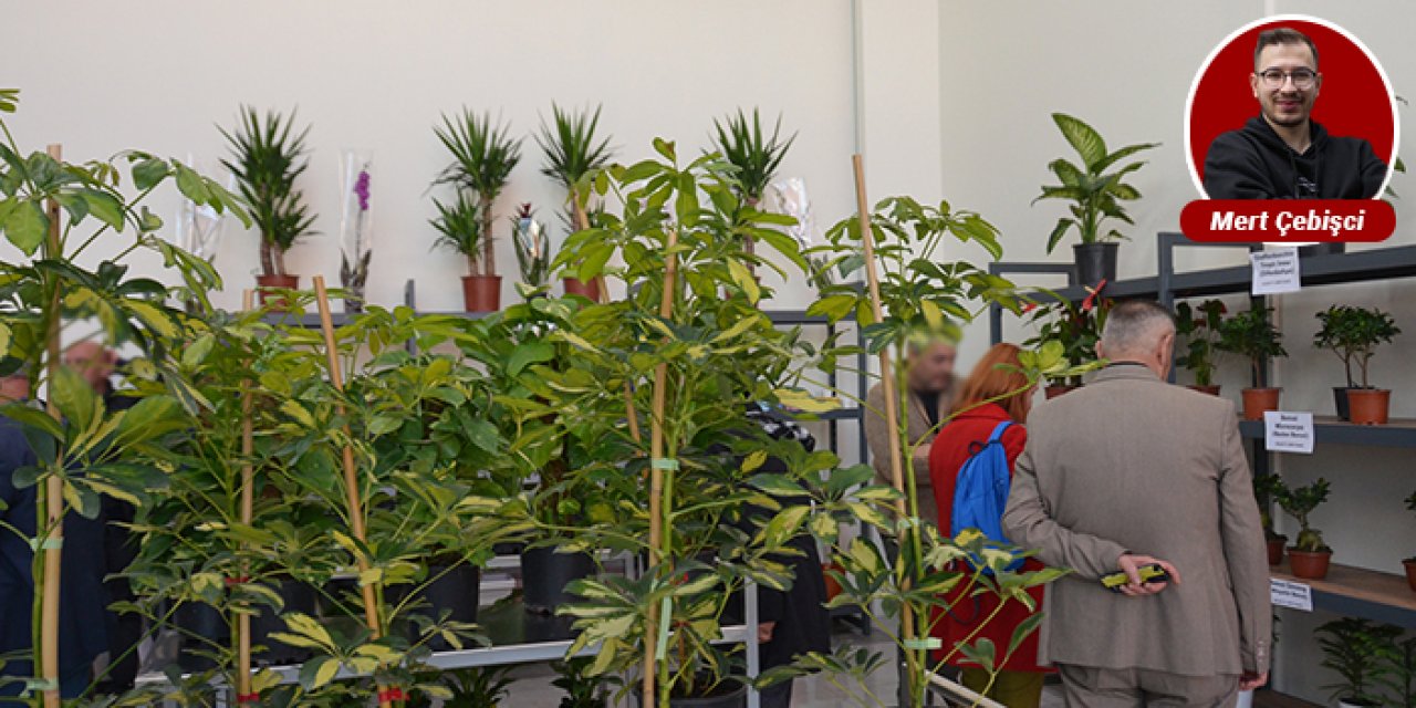 Etimesgut’un çiçek hastanesi bitkilere hayat veriyor