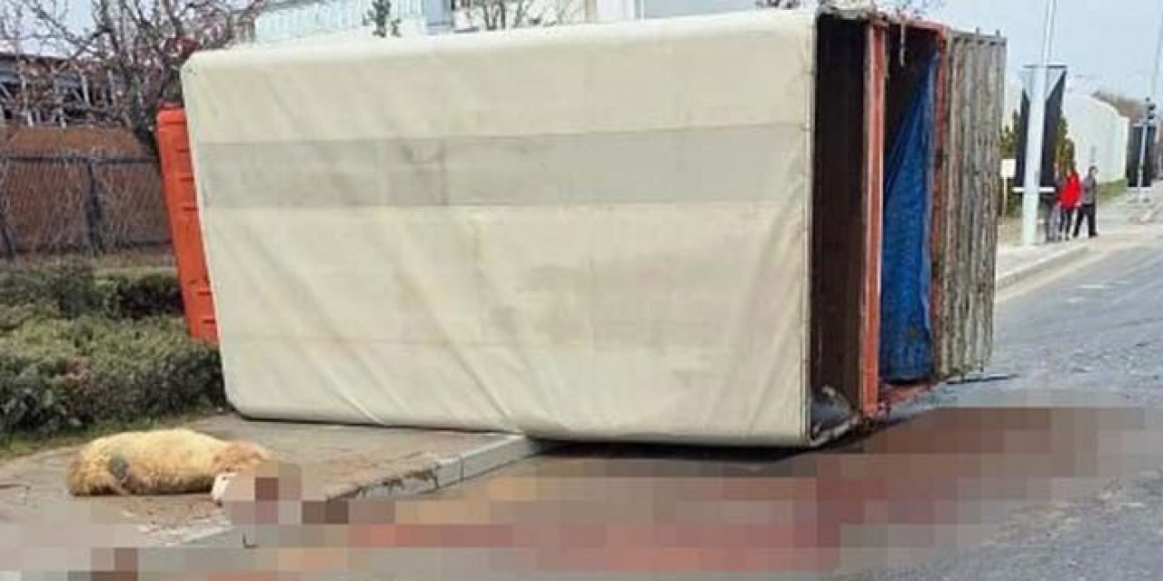 Ankara'da korkunç dakikalar: Hayvan yüklü kamyon devrildi