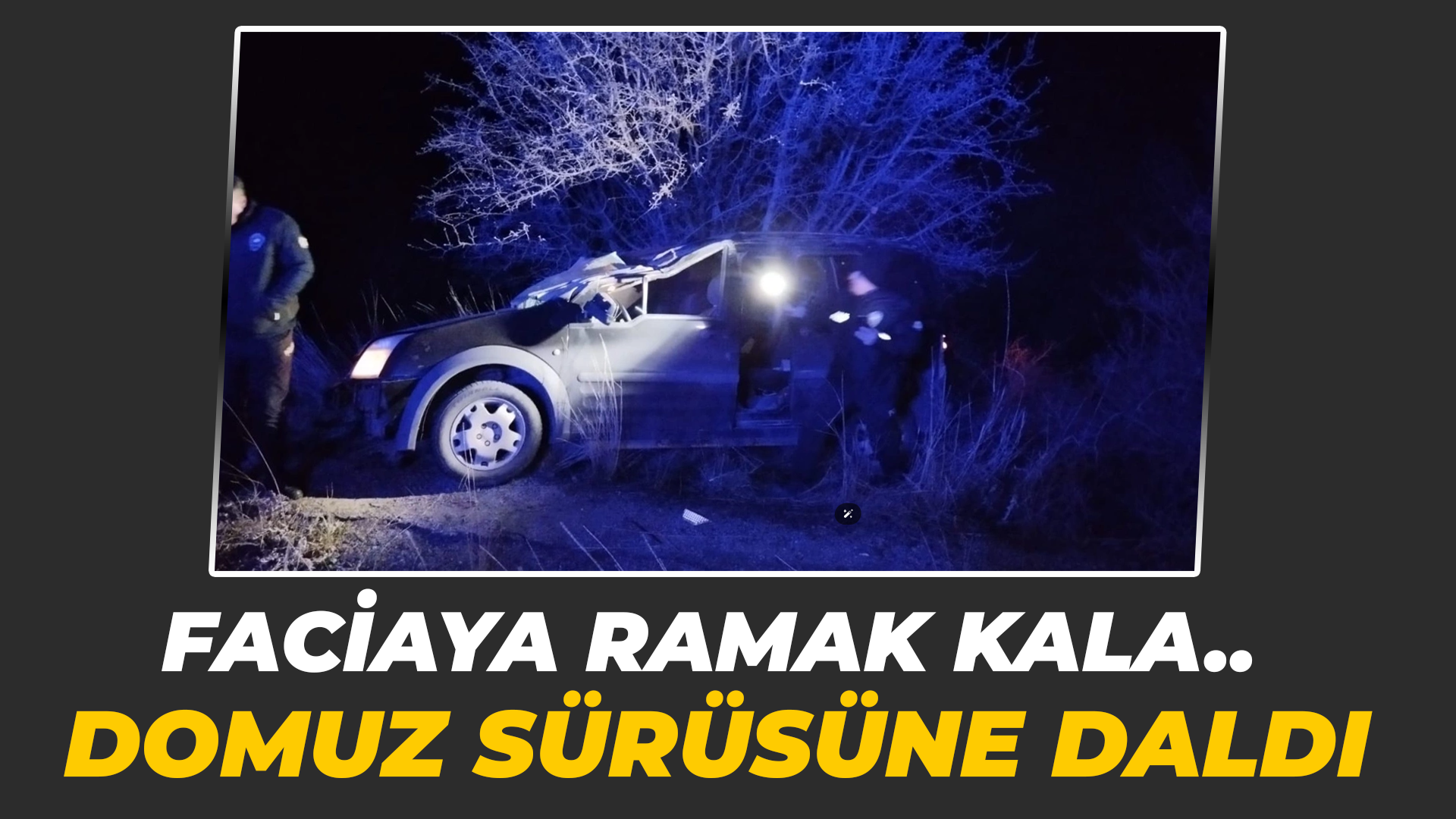 Faciaya ramak kaldı: Domuz sürüsüne daldı...