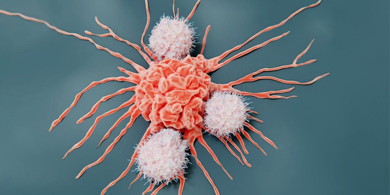 Erkeklerde ve kadınlarda en çok görülen kanser türleri belli oldu