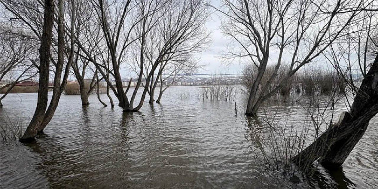 Kafkasya'nın su kaynağı: Kura Nehri taştı