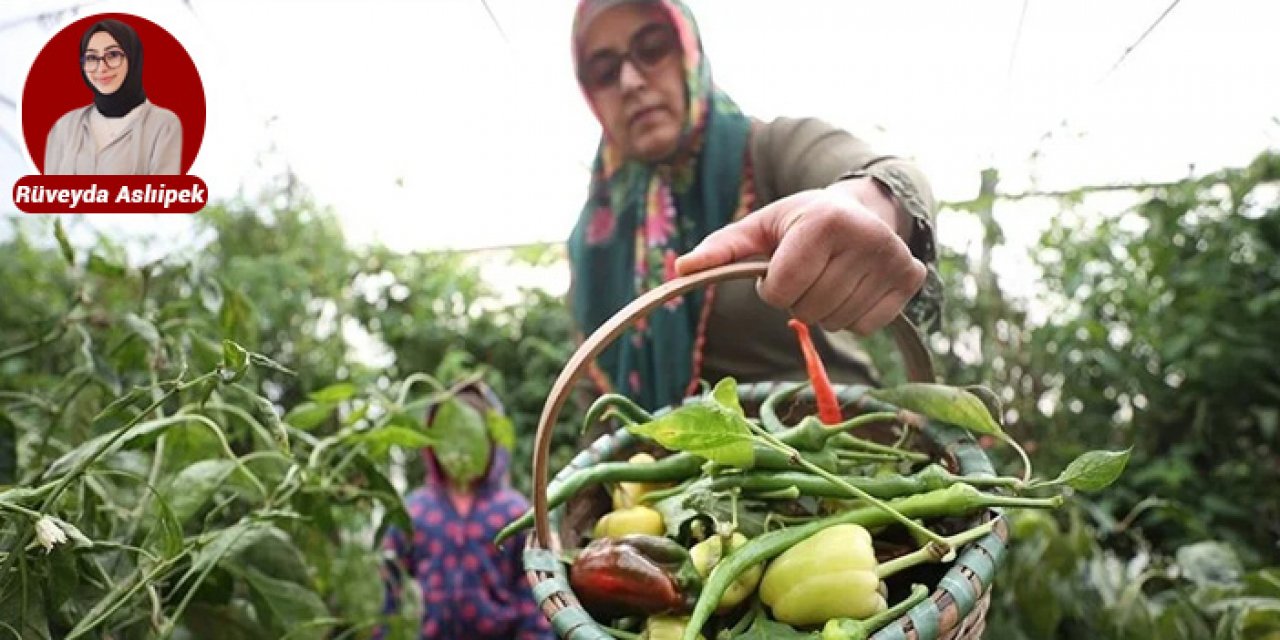 Ankara Büyükşehirden çiftçiye fide desteği