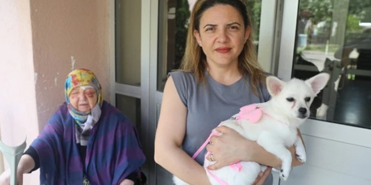 Edirne’de köpek vahşeti: 75 yaşındaki kadın yaralandı
