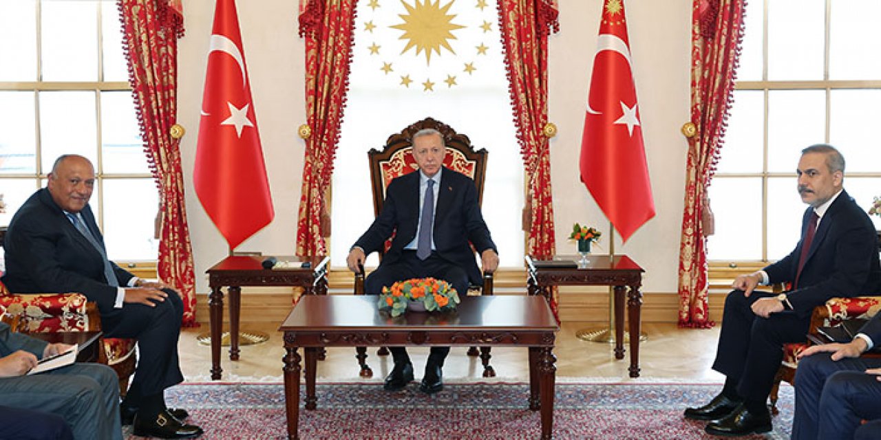 Cumhurbaşkanı Erdoğan ile Mısır Dışişleri Bakanı görüştü