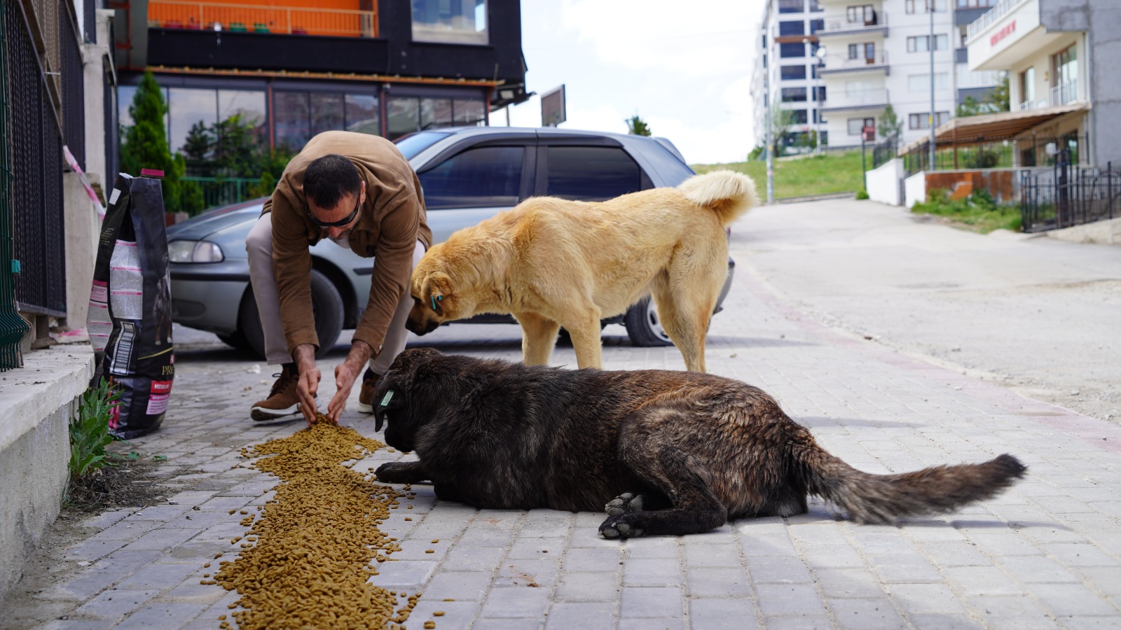 Ankara’da bir işletme tüm gelirini sokak canlılarına bağışlıyor