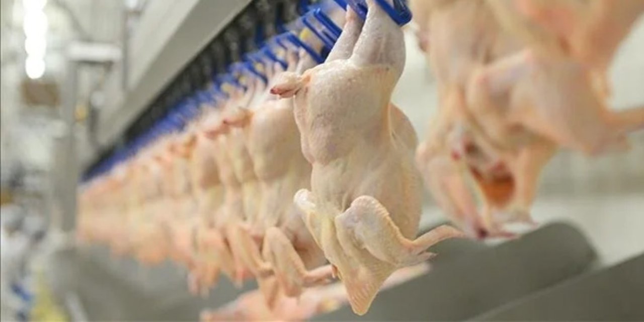 Fiyatlar yükselmişti: Tavuk eti üretiminde artış