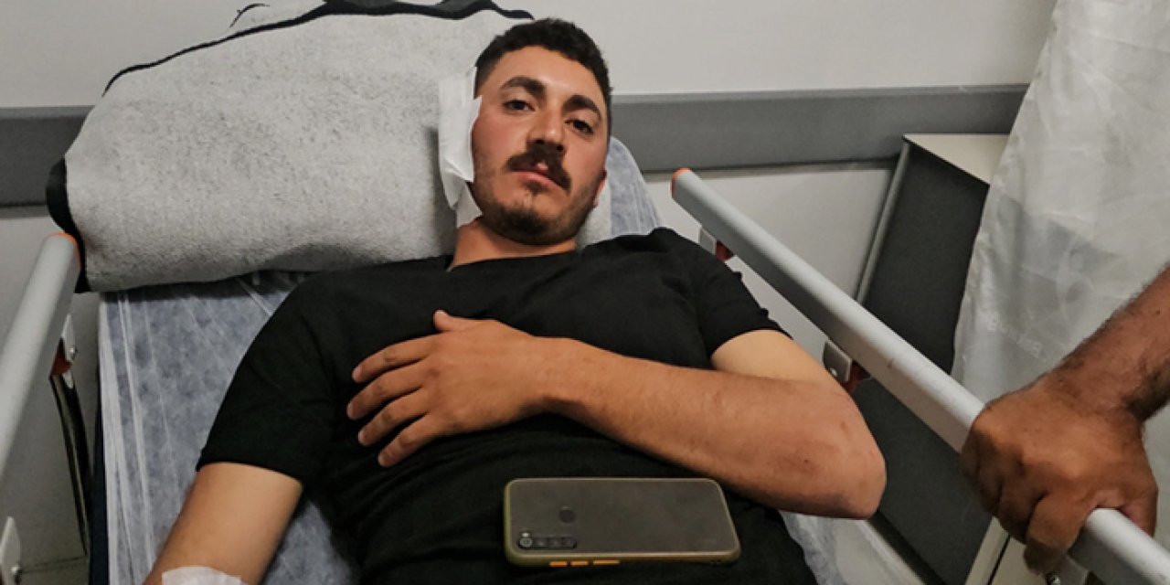 Erzincan'da ayı saldırısı: Mantar toplarken hastanelik oldu