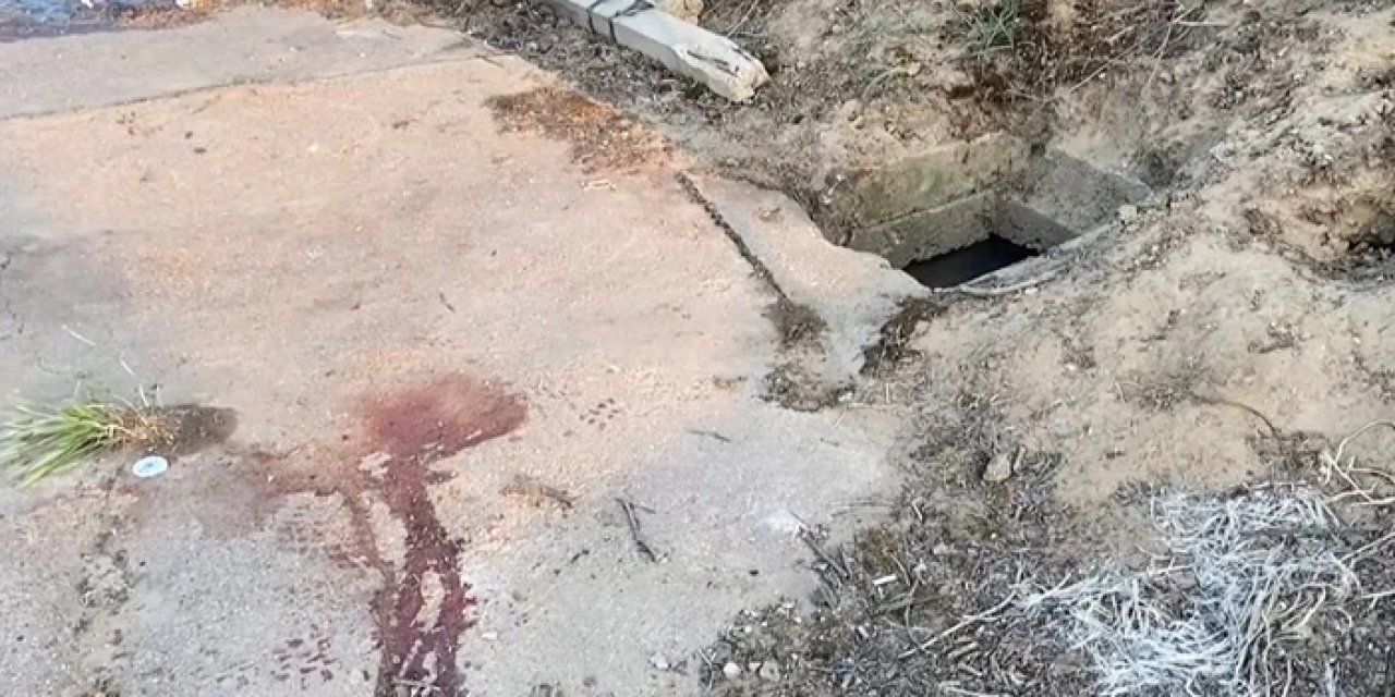 Manisa'da vahşet: Öldürüp su kuyusuna attı