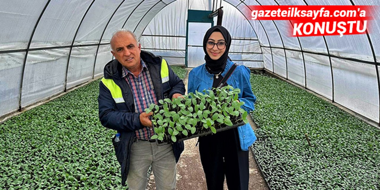 Çiftçiye tam destek: Yüzde yüz hibeyle sebze fidesi